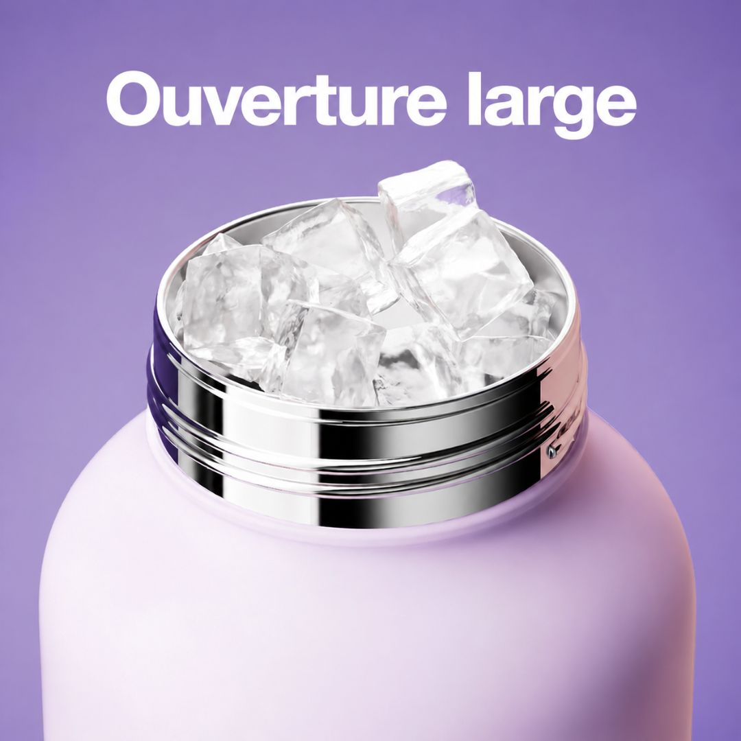 Gourde LinLin Purple